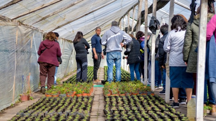 Inscriben para escuela municipal de jardinería